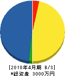 田中勝建設 貸借対照表 2010年4月期