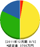 Ｔ・Ａ電気商会 貸借対照表 2011年12月期