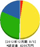 塚田工業 貸借対照表 2012年12月期