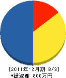 中野電気 貸借対照表 2011年12月期