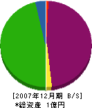 北陽 貸借対照表 2007年12月期