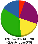 高橋組 貸借対照表 2007年12月期