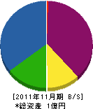 河島塗装 貸借対照表 2011年11月期