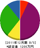 丸田板金工業所 貸借対照表 2011年12月期