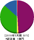 伊豆美掃 貸借対照表 2010年5月期