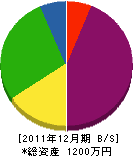 沖田電設 貸借対照表 2011年12月期