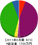 竹井設備 貸借対照表 2011年6月期