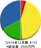 斎藤建設 貸借対照表 2010年12月期