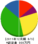 長谷川建設工業 貸借対照表 2011年12月期