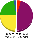木村興装 貸借対照表 2009年4月期