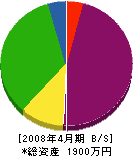 山崎ネオン 貸借対照表 2008年4月期