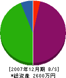 タダノ塗装 貸借対照表 2007年12月期
