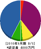 宮本工務店 貸借対照表 2010年9月期