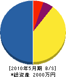 讃岐通信工業 貸借対照表 2010年5月期