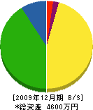 田村鉄工所 貸借対照表 2009年12月期
