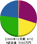 米寿堂 貸借対照表 2008年12月期