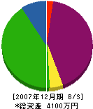 榊原塗装店 貸借対照表 2007年12月期
