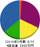 大川商事 貸借対照表 2010年5月期
