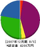 谷垣組 貸借対照表 2007年12月期
