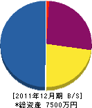 糸満総合造園 貸借対照表 2011年12月期