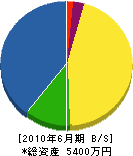宮田水道工業所 貸借対照表 2010年6月期
