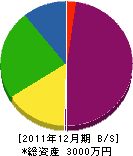 志手電気工事 貸借対照表 2011年12月期