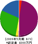関澤電気商会 貸借対照表 2009年5月期