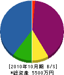 梶石材店 貸借対照表 2010年10月期