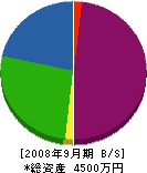 新栄工業 貸借対照表 2008年9月期