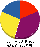 藤原電波 貸借対照表 2011年12月期