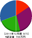 石澤塗装店 貸借対照表 2011年12月期