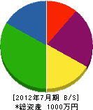 竹内塗装店 貸借対照表 2012年7月期