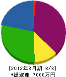 前川組 貸借対照表 2012年3月期