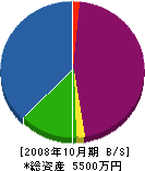 梶石材店 貸借対照表 2008年10月期