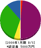 日昇興産 貸借対照表 2008年1月期