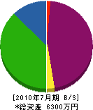 赤嶺電研企画 貸借対照表 2010年7月期