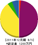 渋谷塗装店 貸借対照表 2011年12月期
