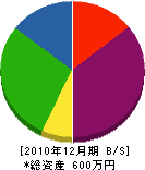 渋谷建設 貸借対照表 2010年12月期