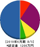 エースジャパンエステート 貸借対照表 2010年6月期