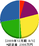 オキタ塗装店 貸借対照表 2009年12月期 オキタ塗装店 貸借対照表 2009年12月期