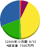 平野鉄工 貸借対照表 2008年12月期