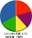 渡邊工業 貸借対照表 2012年6月期