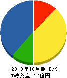 大島組 貸借対照表 2010年10月期