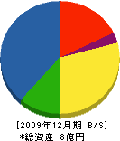 篠川組 貸借対照表 2009年12月期