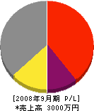 鈴木電気 損益計算書 2008年9月期
