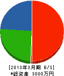 永田設備 貸借対照表 2013年3月期