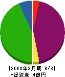 伊坂電機 貸借対照表 2008年3月期