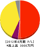 松井電設 損益計算書 2012年4月期