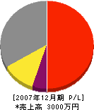 渡辺勲工務店 損益計算書 2007年12月期