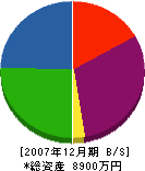 横山造園 貸借対照表 2007年12月期